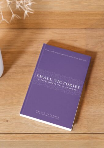 Cover of Small Victories